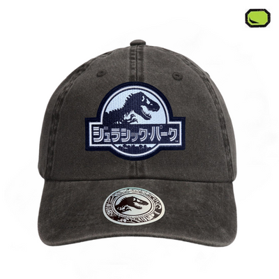 Gorra Jurassic Park Logo Japonés Gris Tipo Deslavada