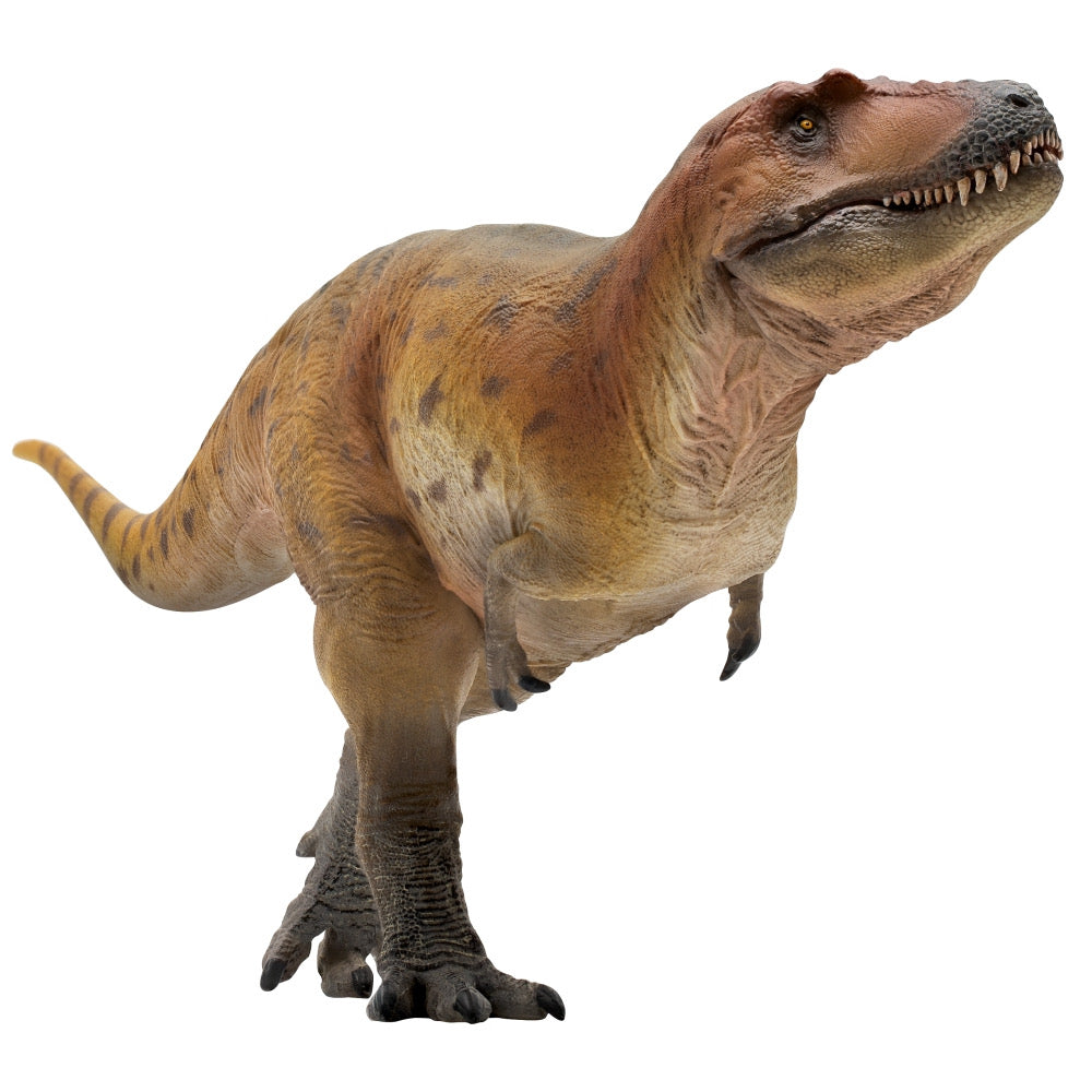 Figura PNSO Keynes The Lythronax