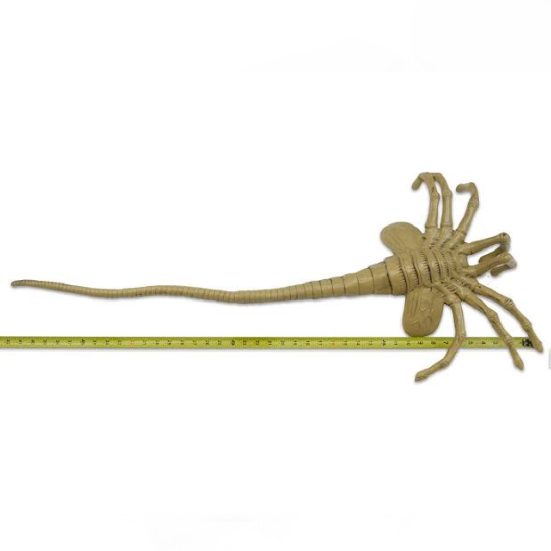 NECA Alien Facehugger Life Size Foam Replica