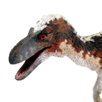 Figura Beasts of the Mesozoic Suskityrannus Hazelae Escala 1/18