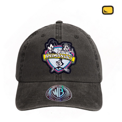 Gorra Animaniacs Logo Clásico Gris Tipo Deslavada