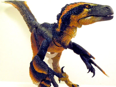 Figura Beasts of the Mesozoic Pyroraptor Olympius Versión Fans Choice Escala 1/6