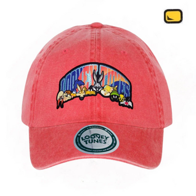 Gorra Looney Tunes That’s all folks Coral Tipo Deslavada