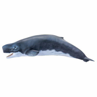 Figura PNSO Requena The Livyatan