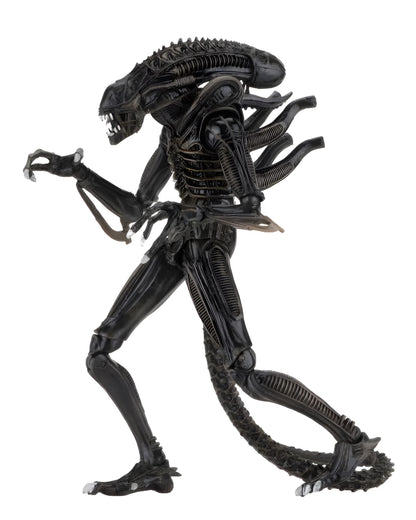 NECA Aliens Ultimate Alien Warrior (Brown Version)