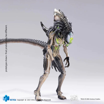 Figura Hiya Toys Predalien (Battle Damage) PX Previews Exclusive Escala 1/18