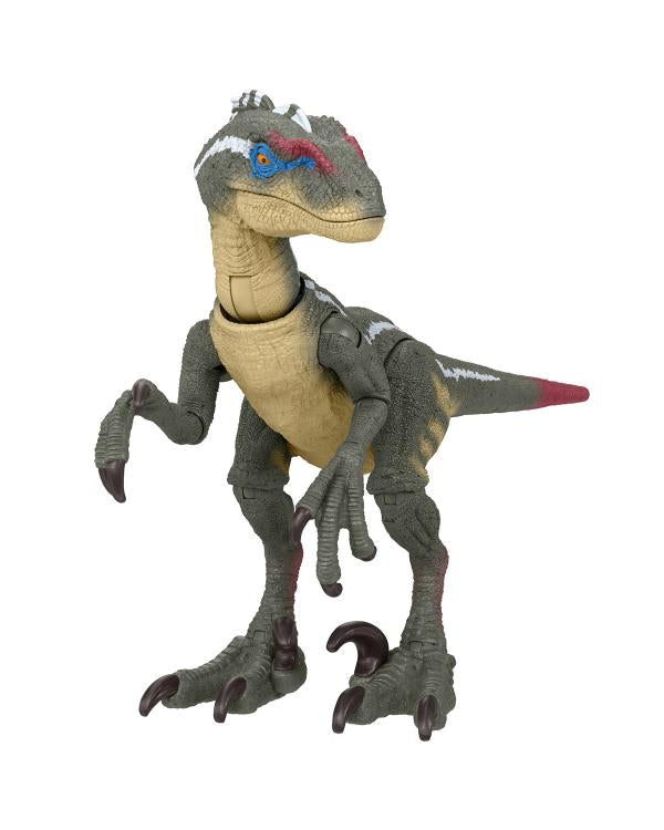 Jurassic World Hammond Collection Male Velociraptor