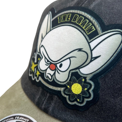 Gorra Animaniacs Pinky y Cerebro Gris/Beige Tipo Deslavada