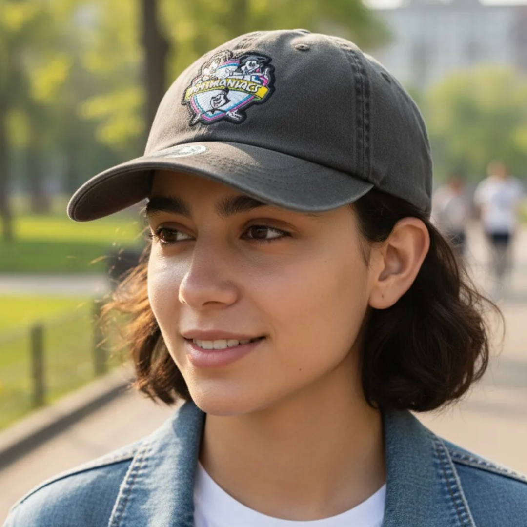 Gorra Animaniacs Logo Clásico Gris Tipo Deslavada
