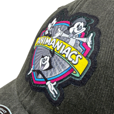Gorra Animaniacs Classic Logo Gris Tipo Deslavada