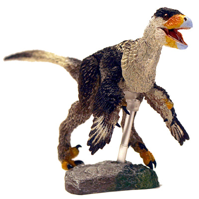 Set de Figuras Beasts of the Mesozoic Western Buitreraptor Gonzalezorum & Stenonychosaurus Inequalis Escala 1/6