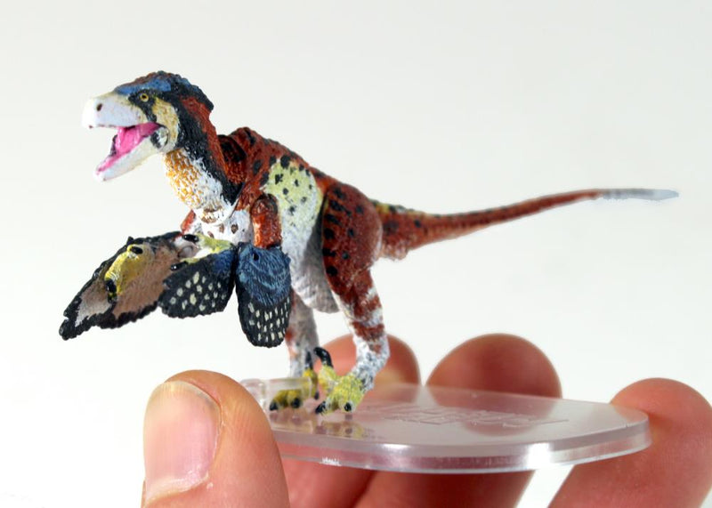 Beasts of the Mesozoic “Dromaeosaurus Albertensis” (Fans choice)