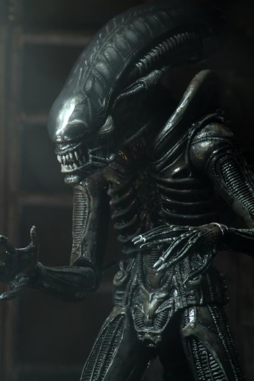 NECA Ultimate 40th Anniversary Big Chap Alien