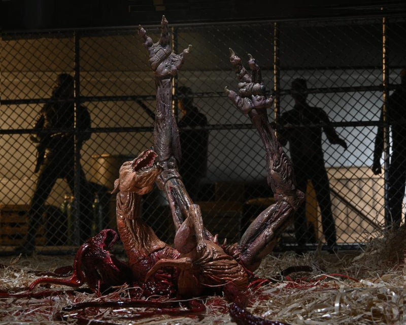 Preventa NECA The Thing Ultimate Dog Creature Set