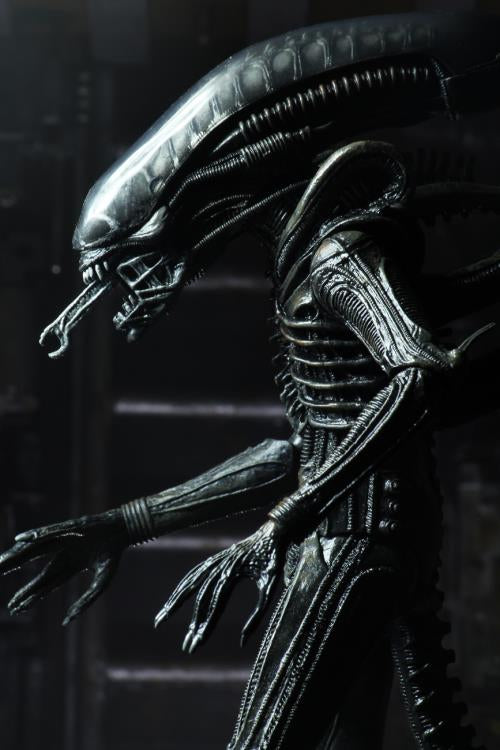 NECA Ultimate 40th Anniversary Big Chap Alien