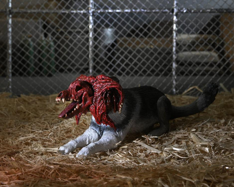 Preventa NECA The Thing Ultimate Dog Creature Set