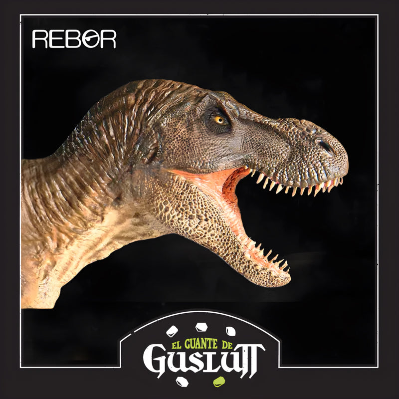 REBOR GNG T-Rex type A