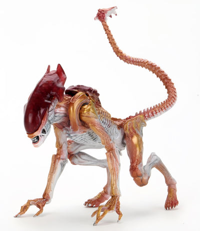 Figura NECA Aliens Tributo Kenner  Panther Alien Versión Ultimate