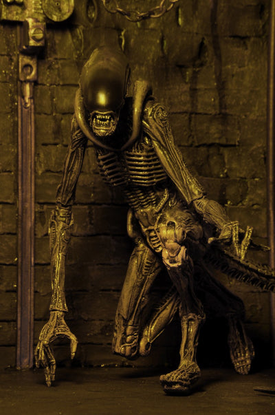 Figura NECA Alien 3 Serie 8 Dog Alien Versión Gris