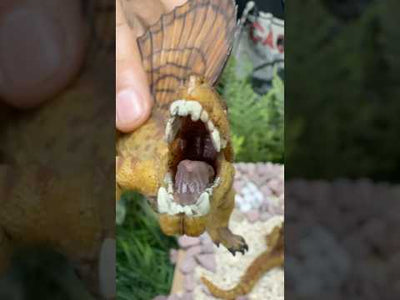 Figura Papo Dimetrodon