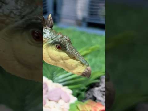 Figura Jurassic World Hammond Collection Stegosaurus