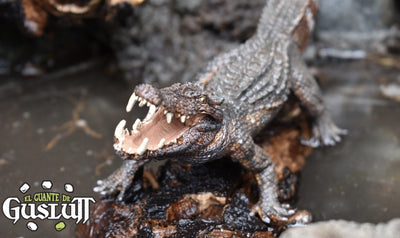 Papo Kaprosuchus - El Guante de Guslutt