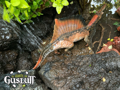 Papo Spinosaurus Aegyptiacus - Edición Limitada - El Guante de Guslutt