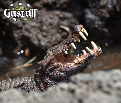 Papo Kaprosuchus - El Guante de Guslutt