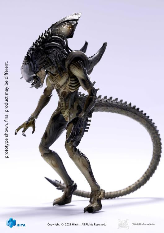 Hiya Toys Alien vs Predator Requiem Predalien PX Exclusive