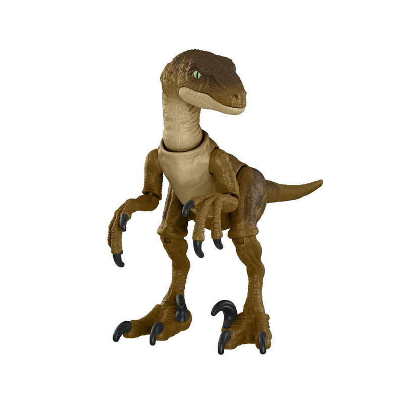 Jurassic World Hammond Collection Velociraptor