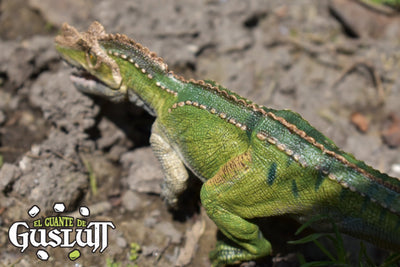 Papo Ceratosaurus - El Guante de Guslutt