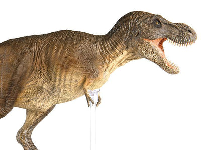 REBOR Gng T-Rex type A - El Guante de Guslutt