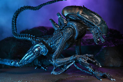 Figura NECA Aliens Arachnoid Alien Versión Cinematográfica
