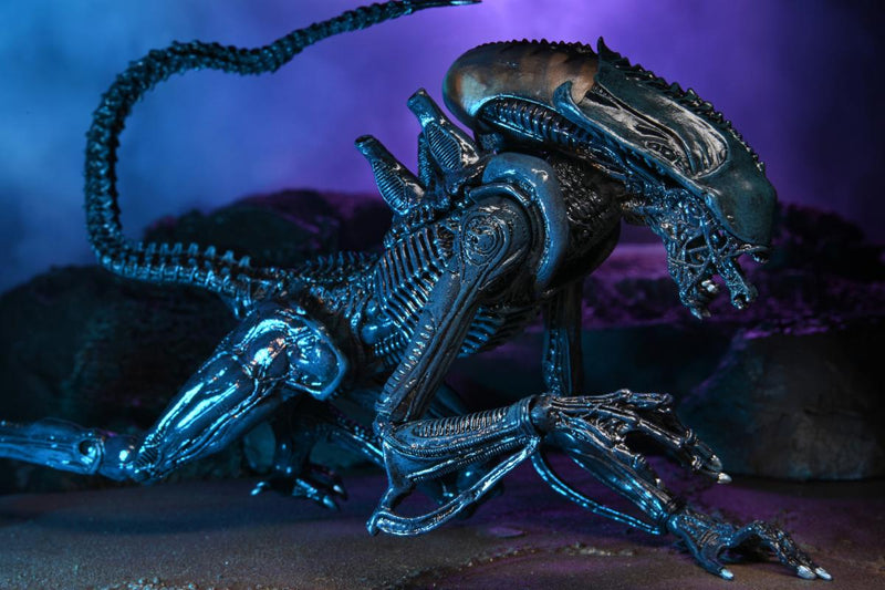 NECA Ultimate Arachnoid Alien Movie Deco