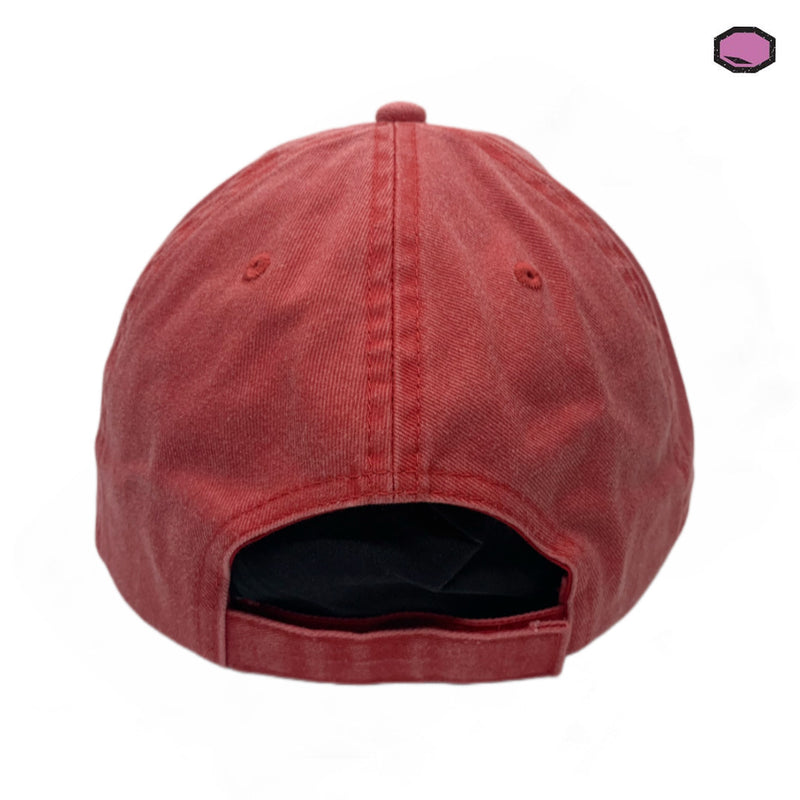 Gorra Harry Potter Gryffindor Crest Roja Vintage