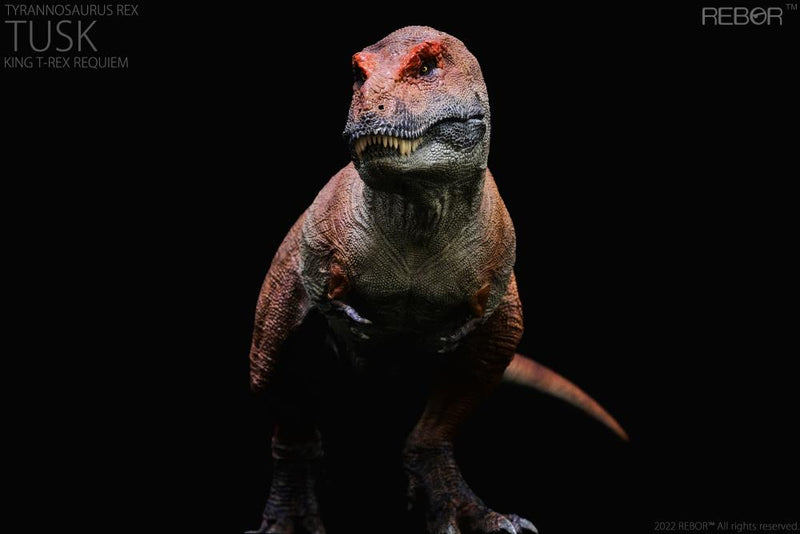 REBOR Tyrannosaurus Rex “Tusk King Requiem” Version