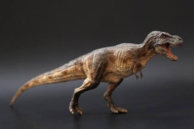 REBOR Gng T-Rex type A - El Guante de Guslutt