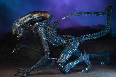 Figura NECA Aliens Arachnoid Alien Versión Cinematográfica