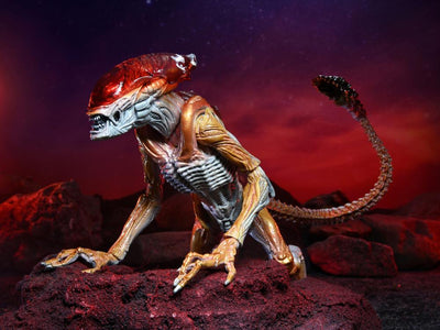 Figura NECA Aliens Tributo Kenner  Panther Alien Versión Ultimate