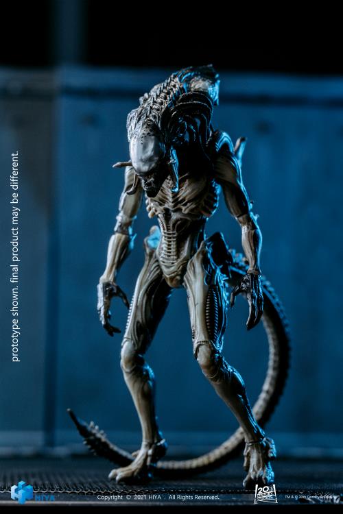 Hiya Toys Alien vs Predator Requiem Predalien PX Exclusive