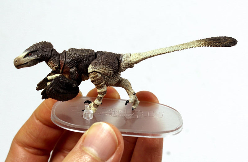 Beasts of the Mesozoic 1/18 “Dromaeosaurus Albertensis”