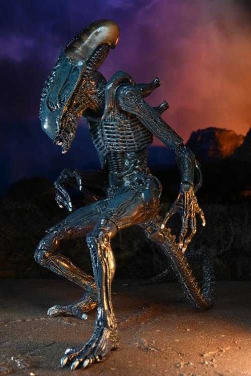 NECA Ultimate Arachnoid Alien Movie Deco