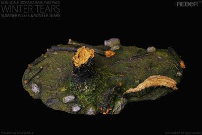 Set de bases Diorama REBOR Summer & Winter Escala 1/35
