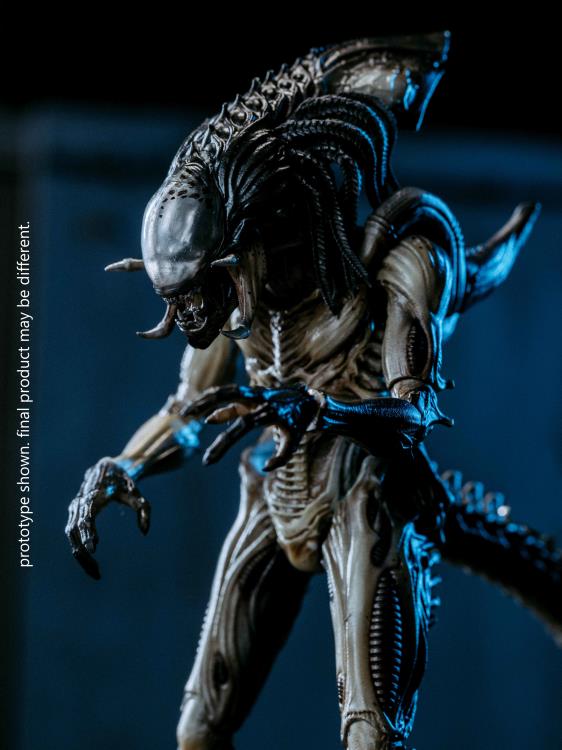 Hiya Toys Alien vs Predator Requiem Predalien PX Exclusive