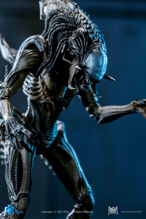 Hiya Toys Alien vs Predator Requiem Predalien PX Exclusive