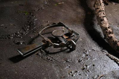 Figura NECA Universal Monsters The Wolf Man Versión Ultimate