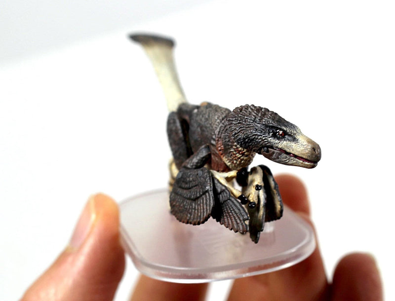 Beasts of the Mesozoic 1/18 “Dromaeosaurus Albertensis”