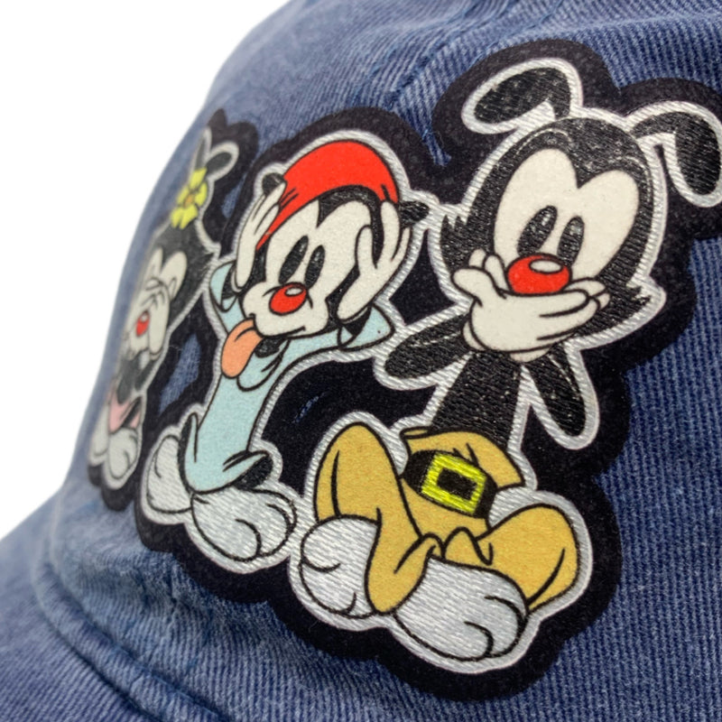 Gorra Animaniacs Warner Brothers Azul Vintage