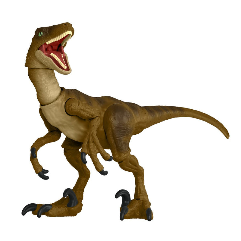 Jurassic World Hammond Collection Velociraptor