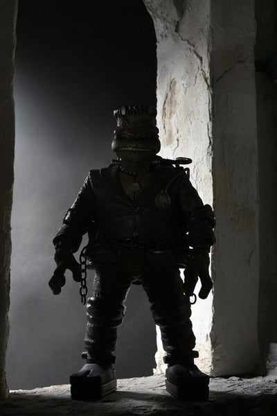 Figura NECA TMNT Raphael as Frankenstein Monster Versión Ultimate